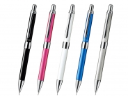 〈名入れシャーペン〉ビクーニャ EX2 シャープペンシル